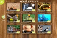 Jigsaw Puzzles with Cool Animal Pictures Screen Shot 2