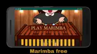 Marimba Virtual Screen Shot 0