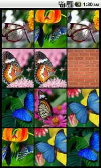 Memory (Butterflies) Screen Shot 0