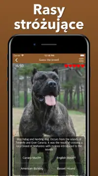 Rasy psów zgadują quiz o psach! Wszystkie psy! Screen Shot 4