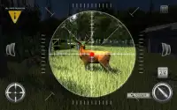 Juego de caza del ciervo: Jungle Safari Sniper Screen Shot 2