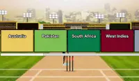 Cricket Masters Premier League Screen Shot 3