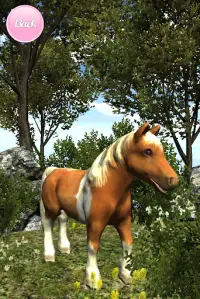 My Pony: Little Adventure Farm Screen Shot 3