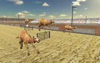 การแข่งรถ Camel Race Dubai Camel Simulator Screen Shot 1