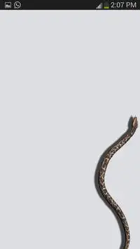 snake on screen mobile Screen Shot 2