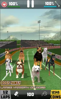 course de chiens jeu de course pour animaux Screen Shot 6