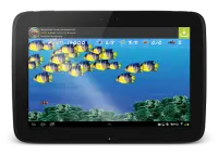 Wonder Fish Giochi Gratuiti HD Screen Shot 16