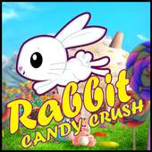 Rabbit Candy Crush