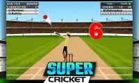 Super Cricket Championship Screen Shot 0