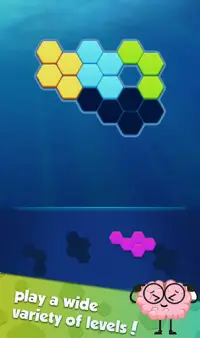 Hexa  Block: Triangle Puzzle Screen Shot 1