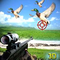 Jeux de chasse au canard - Best Sniper Hunter 3D