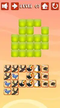 Puzzle of Birds- Logic Game Screen Shot 2