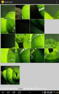 Photo Puzzle (Android) Screen Shot 6
