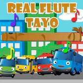 Real Flute - Tayo Bus