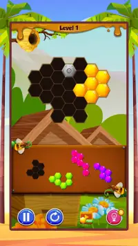 Hexa Hive Puzzle : hexagon block game Screen Shot 2