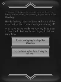 Choices That Matter - text based game Screen Shot 9