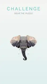 Animal Low Poly Art - Puzzle Game Screen Shot 2