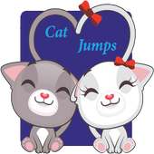 Cat jumps
