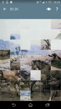 Puzzle: Animaux Screen Shot 1