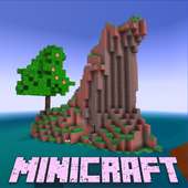 Minicraft : Build Block Craft 2020