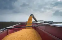 Wheat combine harvester Jigsaw Screen Shot 5