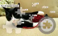 Jigsaw Puzzles: More Kittens Screen Shot 1