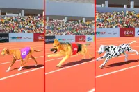 Dog Race Game: Dog Racing 3D Screen Shot 11