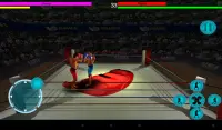 3D Boxing Screen Shot 5