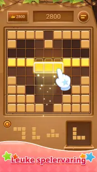 Wood Block Puzzle-SudokuJigsaw Screen Shot 4