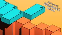 Bluck: Block Balancing Game Screen Shot 1