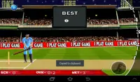 T20 Cricket Blast 2014 Screen Shot 3