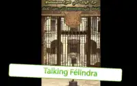 Talking Félindra-تعيد كلامك Screen Shot 1
