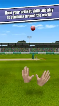 New Star: Cricket Screen Shot 3