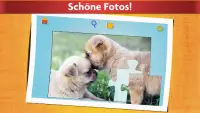 Puzzlespiel mit Hunde Kinder Screen Shot 4