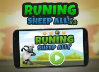 Running Sheep Ally 2 - Game Screen Shot 0