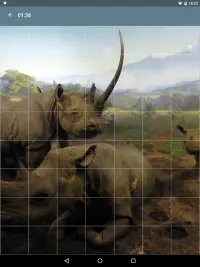 Puzzle: Animaux Screen Shot 18