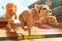 Leoparden gegen Löwen! Wild Savanne Rennen Spiel Screen Shot 0