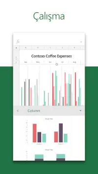 Microsoft Excel: Spreadsheets Screen Shot 2