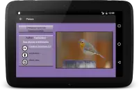 104 Birds Quiz Screen Shot 19