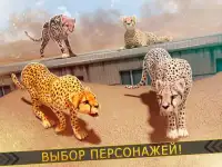 Леопард против Лев Клан - Дикий Саванна Гонки Screen Shot 5