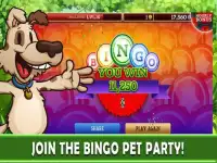 Bingo Pets Party Screen Shot 5