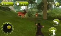 Стрельба из лука Hunter 3D Screen Shot 2