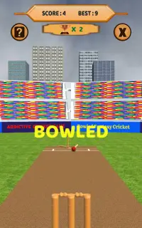 Bowled 3D - Cricket Game Screen Shot 11