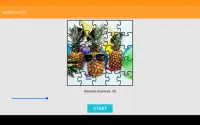 Party Jigsaw Puzzle Screen Shot 6