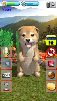 Talking Puppies - virtual pet dog to take care Screen Shot 14