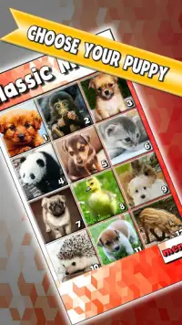 Puppy Slide Puzzle: free cute puppy puzzle game Screen Shot 6