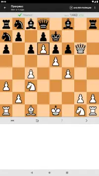 Шахматные головоломки Screen Shot 18