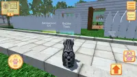 Cute Pocket Cat 3D - Part 2 Screen Shot 4