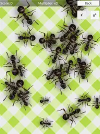 No più formiche (gratuito) - squash Screen Shot 5