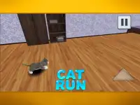 Cat Run Screen Shot 2